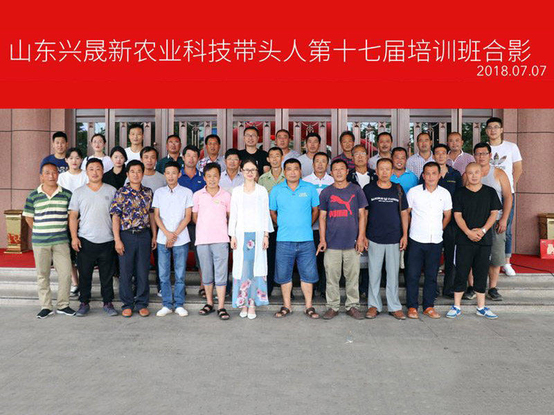 十七届.jpg