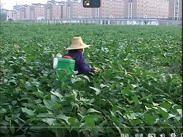 企业微信截图_20250901134048.png
