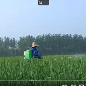 植保课程04