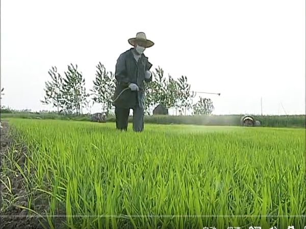 植保课程05