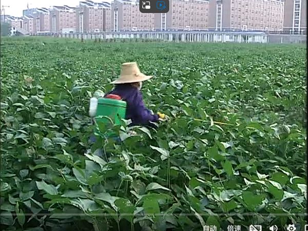 植保课程01
